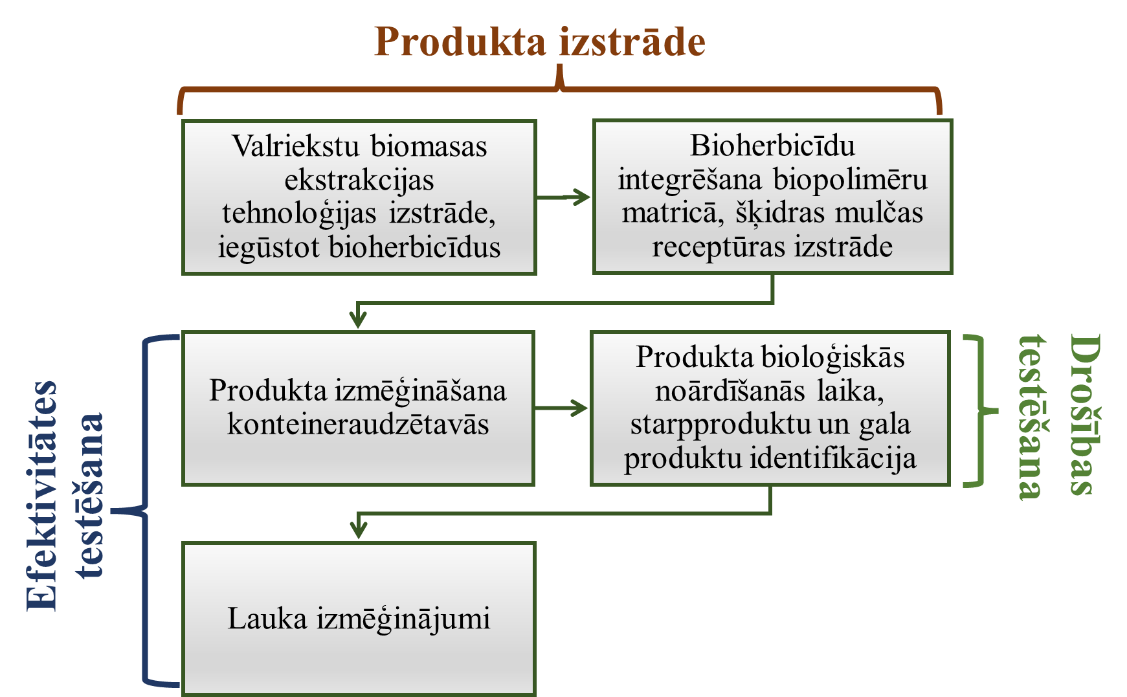 Produkta izstrādes shēma, iekļaujot efektivitātes un drošības testēšanu