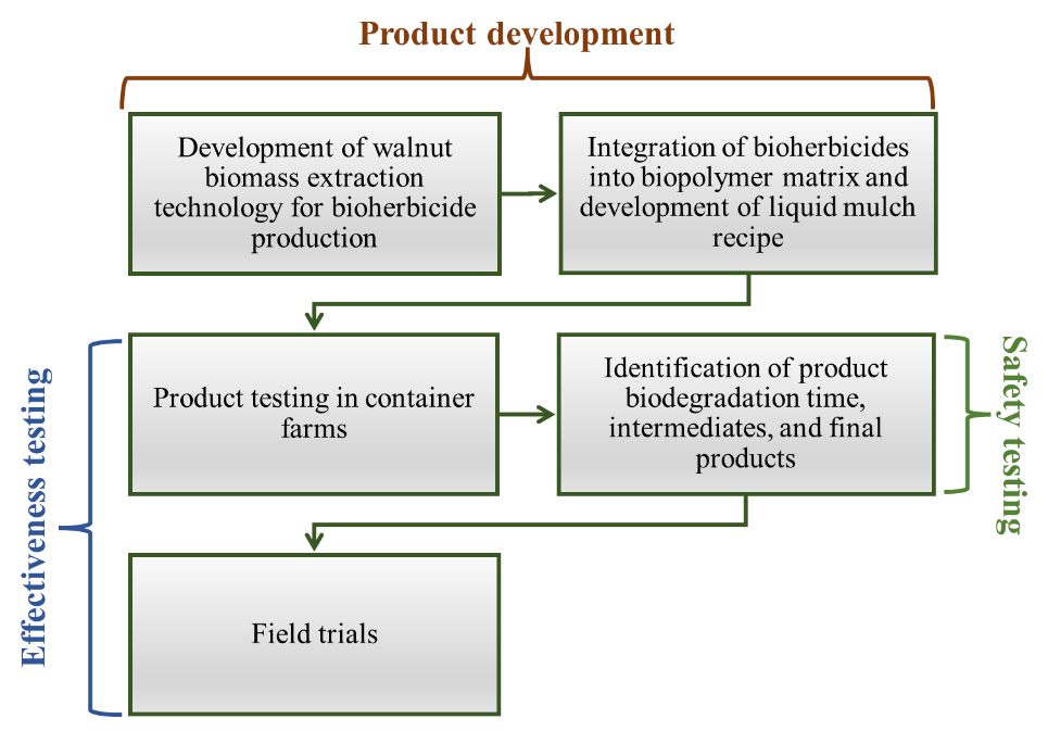 Product development and testing scheme