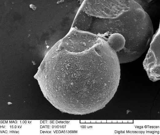 SEM attēls vienam no iegūtajiem bio-sorbentiem, kur par šķīdinātāju izmantots THF un pievienotais ekstraktvielu masas daudzums – 5 %