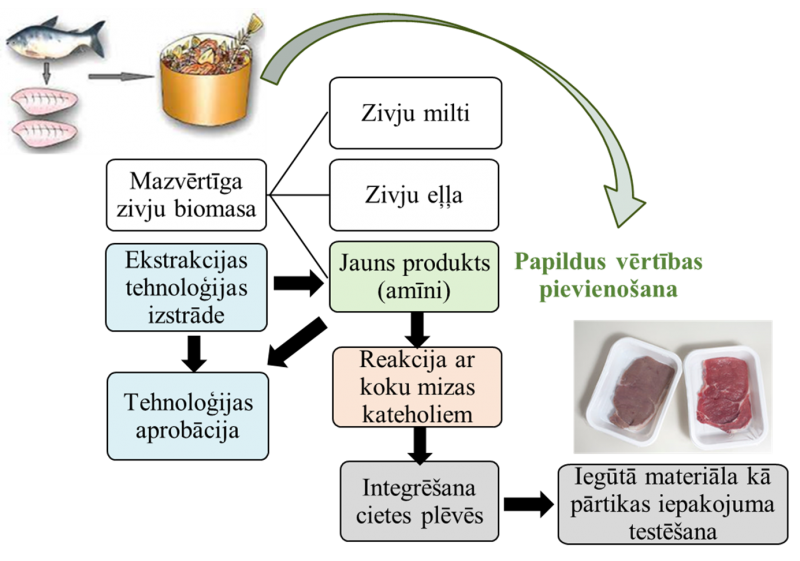 LAD projekta shēma