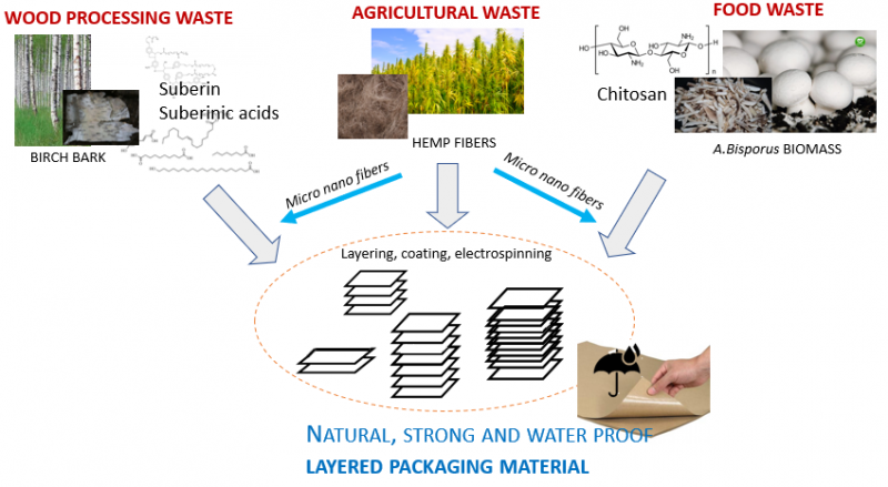 Graphical abstract of the project