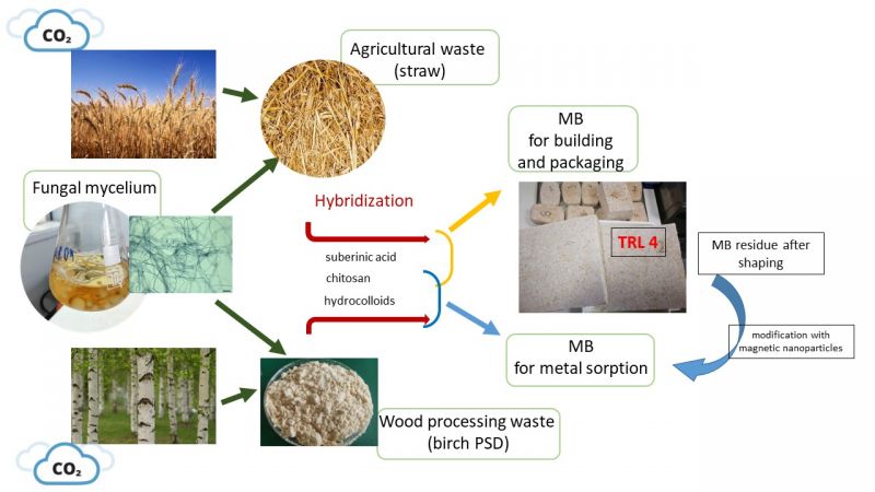 Graphical abstract of the project