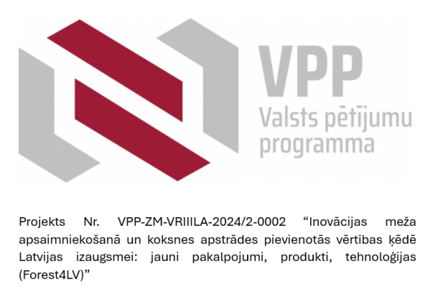 VPP logo